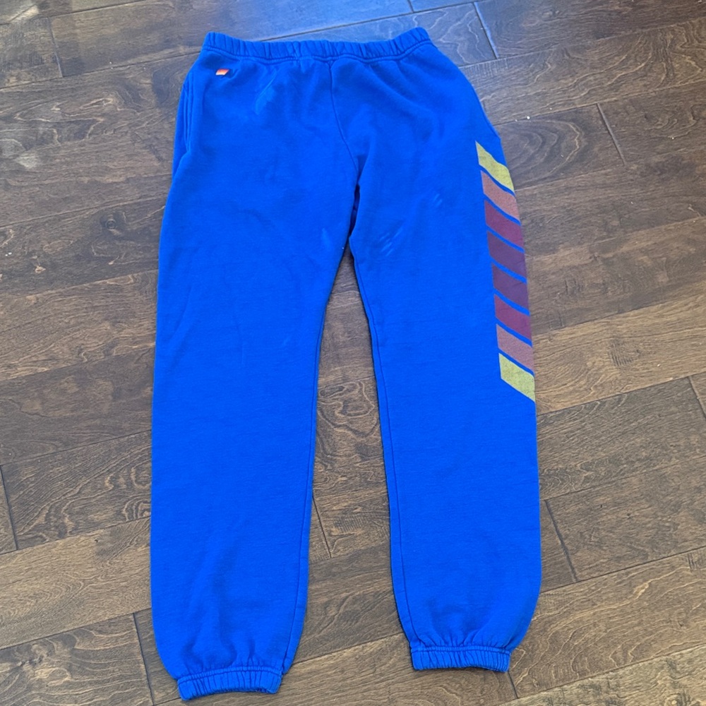 Aviator Nation Blue Sweatpants with Chevron Accents